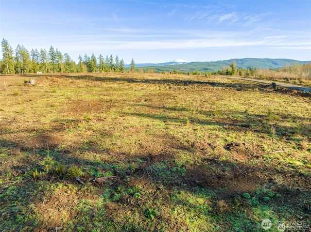 249 Trailblazer Lane, Castle Rock, WA 98611