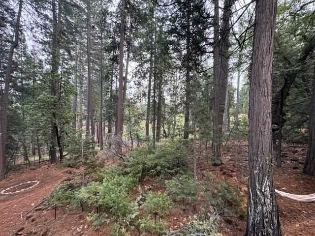 6017 Sly Park Rd, Placerville, CA 95667