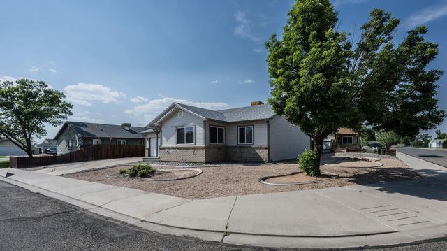 455 David Court, Fruita, CO 81521