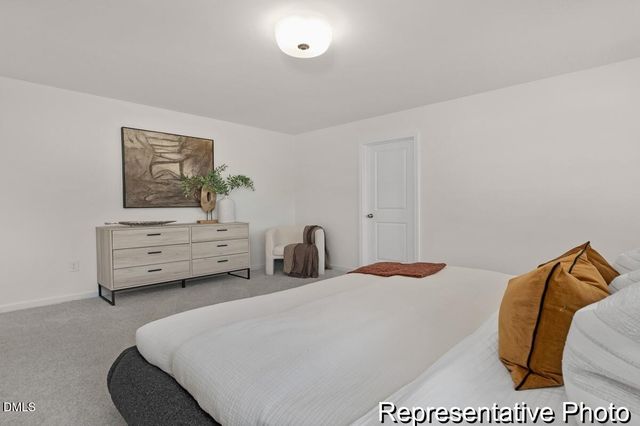 66 Open Meadow Court 94p, Lillington, NC 27546