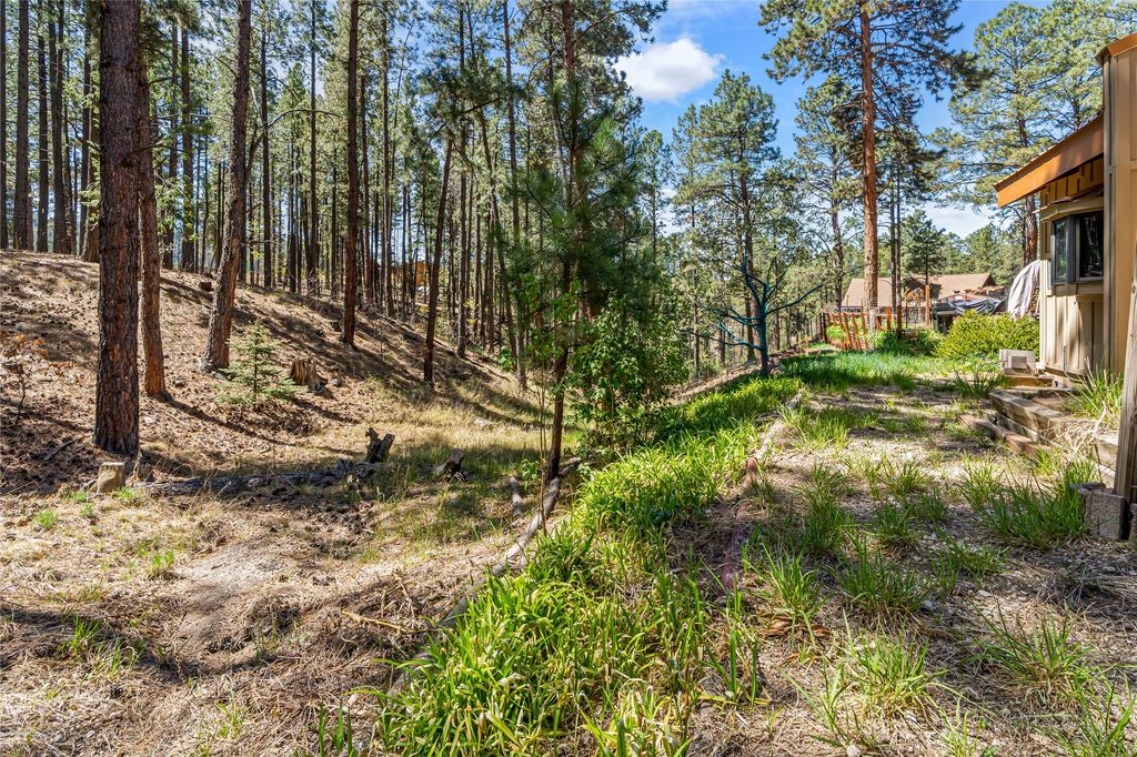 Image 47 of property listing at 187 Trilobite Trail, Jemez Springs, NM 87025