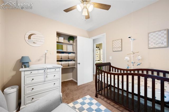 8720 Boxelder Drive, Colorado Springs, CO 80920