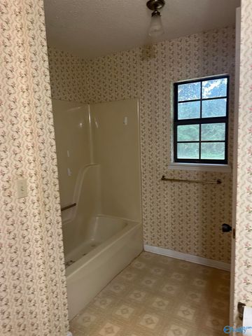 1307 Hickory Street, Albertville, AL 35950