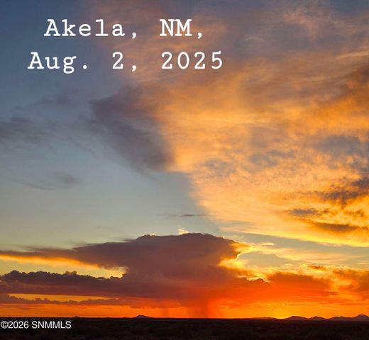 22445 SE Solo Runway, Deming, NM 88030