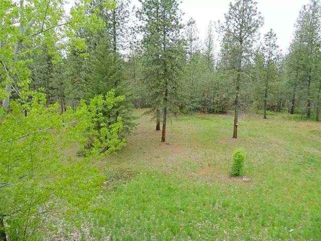 4807 E Chatteroy Rd, Chattaroy, WA 99003