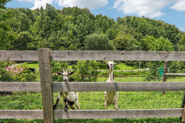 4311 Grindstone Ridge Road, Pigeon Forge, TN 37863