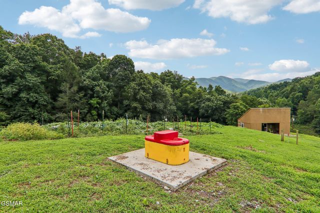 4311 Grindstone Ridge Road, Pigeon Forge, TN 37863