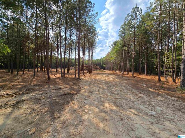 5.88 Acres COVINGTON AVENUE SE, Attalla, AL 35954