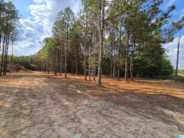 5.88 Acres COVINGTON AVENUE SE, Attalla, AL 35954
