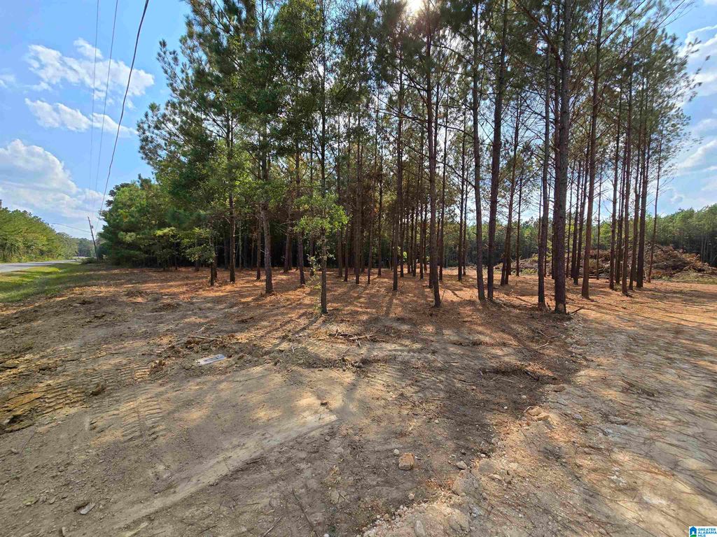 5.88 Acres COVINGTON AVENUE SE, Attalla, AL 35954
