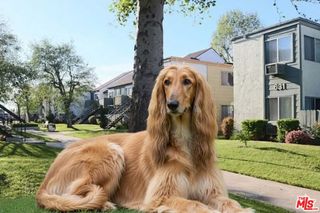 631 N Bristol Street 66, Santa Ana, CA 92703