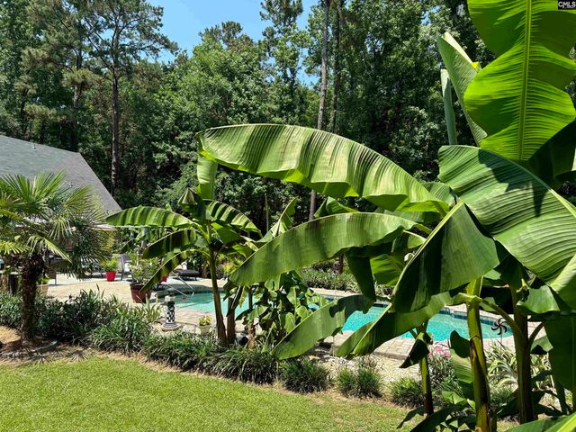 249 Fox Run Drive, Hopkins, SC 29061