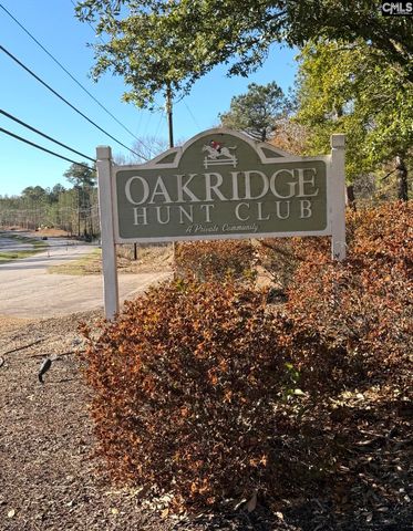 249 Fox Run Drive, Hopkins, SC 29061