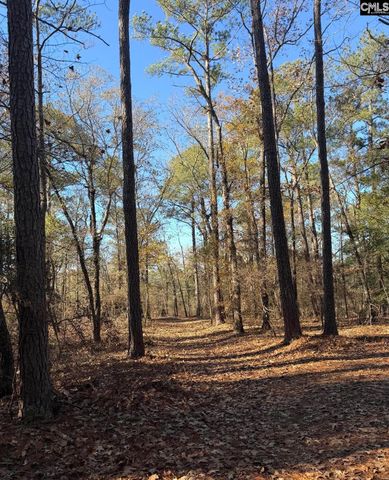 249 Fox Run Drive, Hopkins, SC 29061