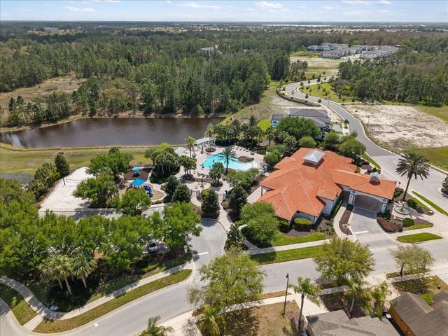 141 ORANGE COSMOS BOULEVARD, Davenport, FL 33837