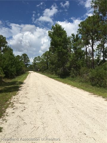 1159 Macaw Avenue, Lake Placid, FL 33852