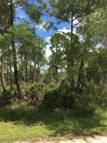 1159 Macaw Avenue, Lake Placid, FL 33852