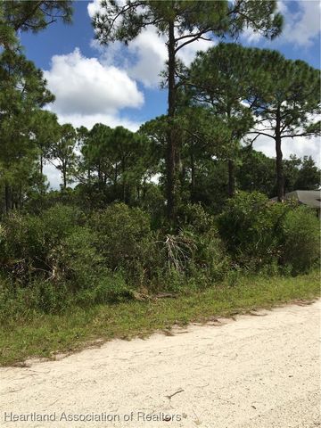 1159 Macaw Avenue, Lake Placid, FL 33852