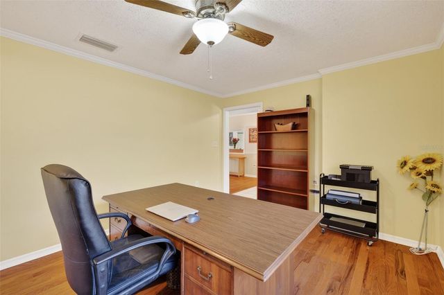 32239 WOLF BRANCH LANE, Sorrento, FL 32776