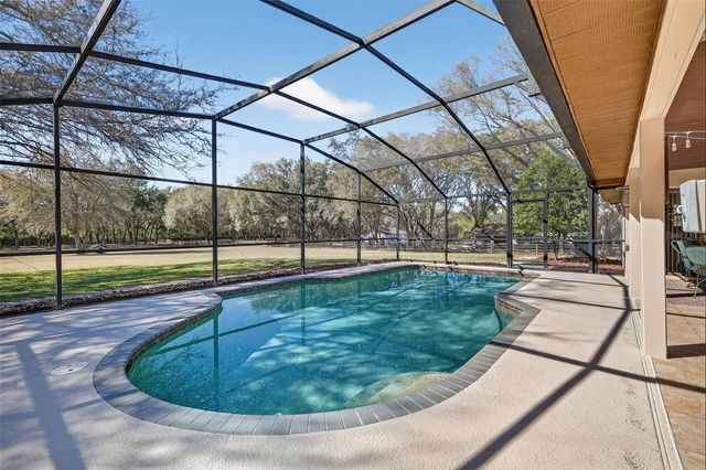 32239 WOLF BRANCH LANE, Sorrento, FL 32776