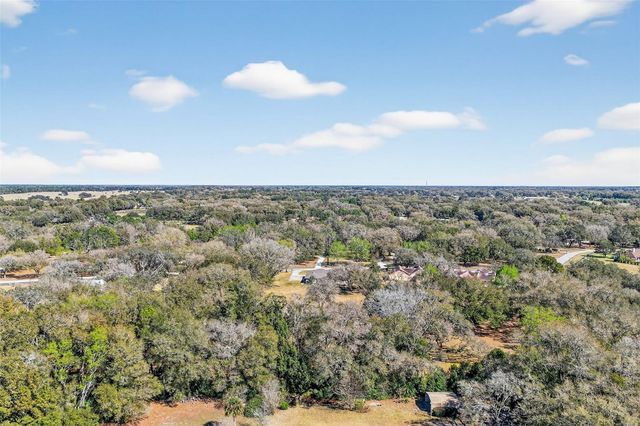 32239 WOLF BRANCH LANE, Sorrento, FL 32776