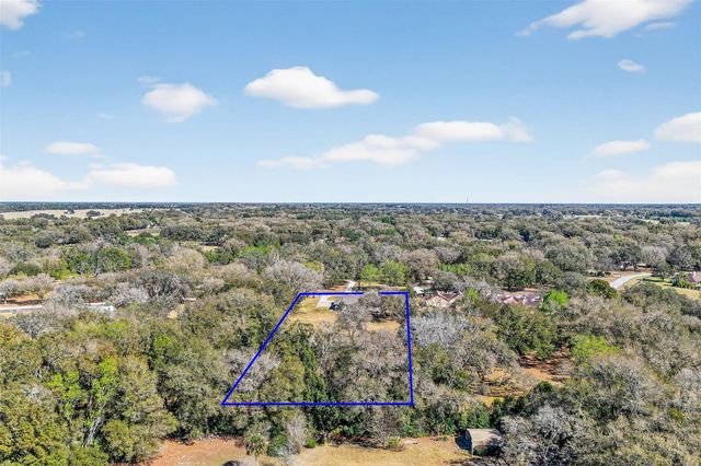 32239 WOLF BRANCH LANE, Sorrento, FL 32776