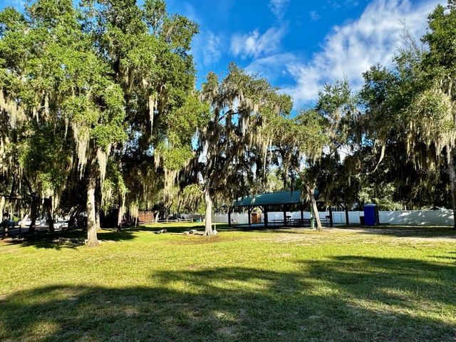 14365 NE 252ND COURT ROAD 123, Salt Springs, FL 32134
