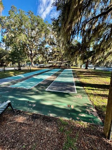 14365 NE 252ND COURT ROAD 123, Salt Springs, FL 32134