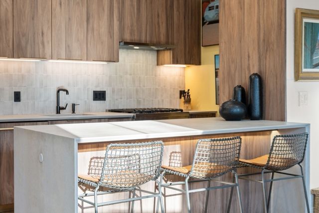 12 Worcester Square 3, Boston, MA 02118