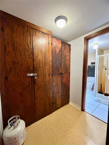25140 NE 133RD STREET, Fort Mc Coy, FL 32134