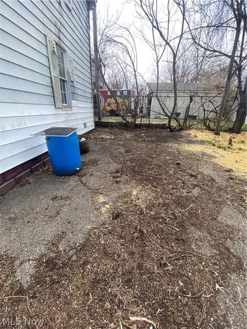 7131 Park Avenue, Cleveland, OH 44105