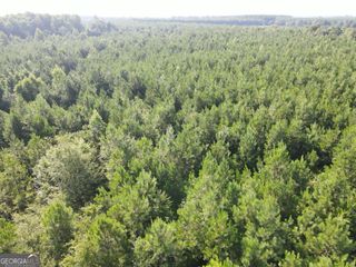 0 Indian Trail Road, Sylvania, GA 30467