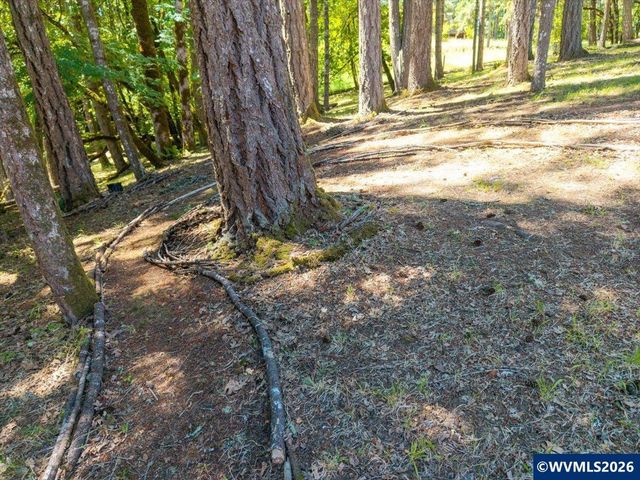 1380 NW Magnolia Dr, Corvallis, OR 97330