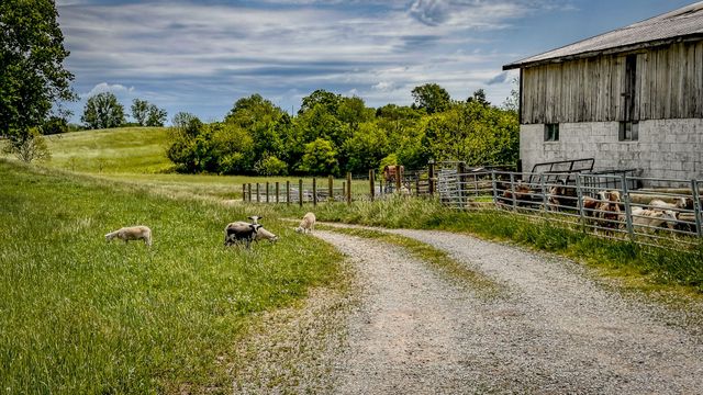 4465 US-150, Stanford, KY 40484