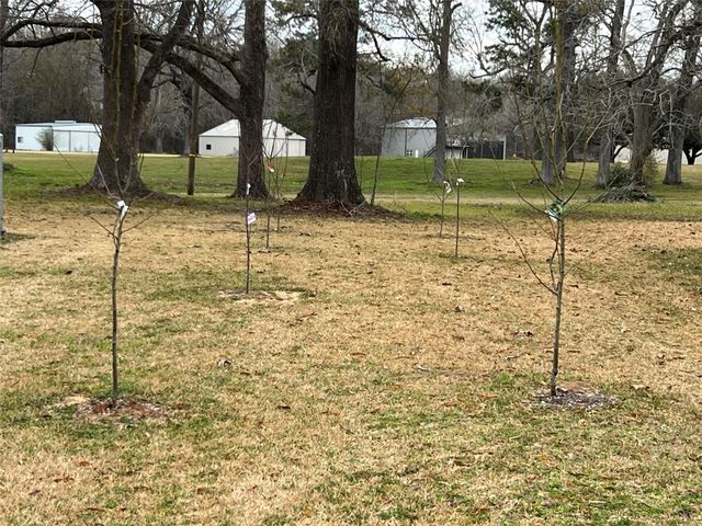 101 Vickie Lane, Shepherd, TX 77371