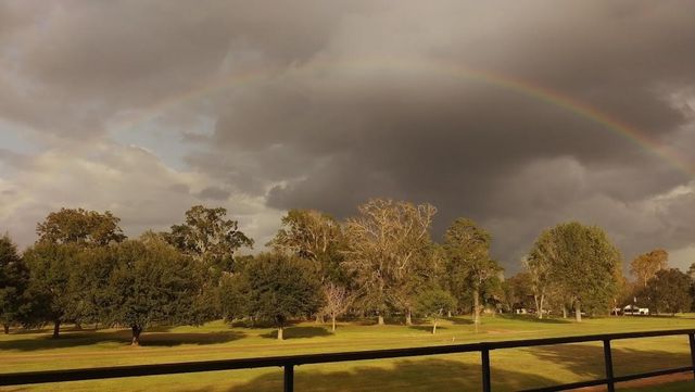 101 Vickie Lane, Shepherd, TX 77371