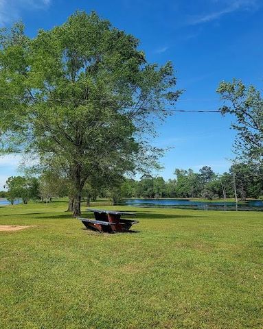 101 Vickie Lane, Shepherd, TX 77371