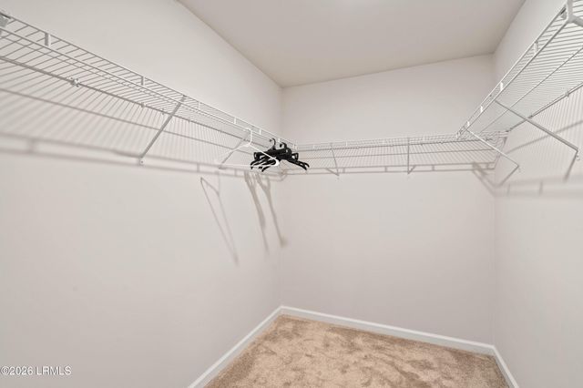 119 Teal Bluff Boulevard, Seabrook, SC 29940