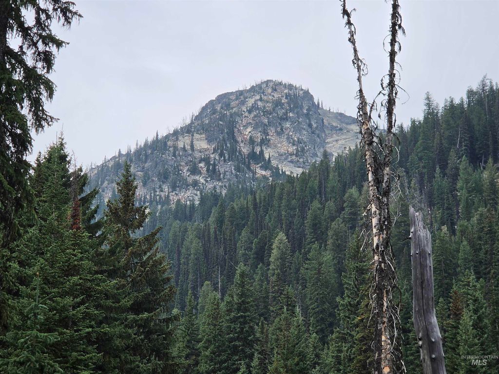 TBD Hump Lake Lot 2, Dixie, ID 83525 photo 3