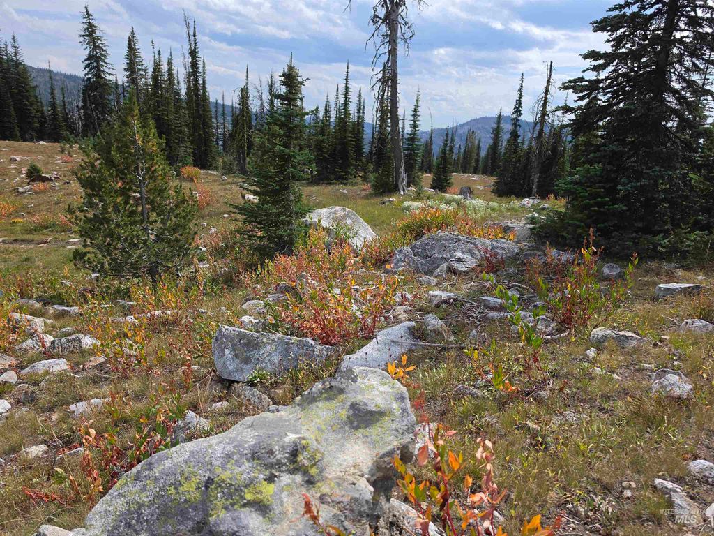 TBD Hump Lake Lot 2, Dixie, ID 83525 photo 4
