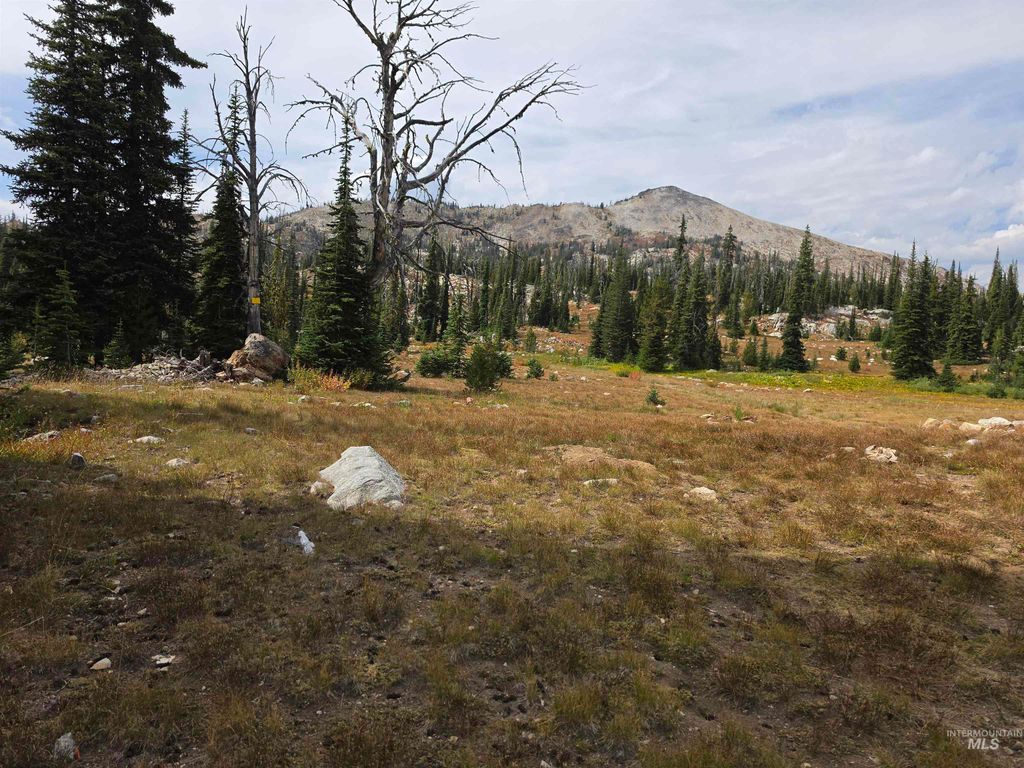 TBD Hump Lake Lot 2, Dixie, ID 83525 photo 5