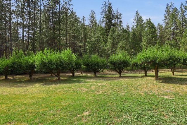 14424 S Cheney-Spokane Rd, Cheney, WA 99004