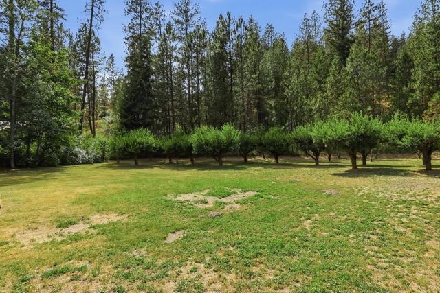 14424 S Cheney-Spokane Rd, Cheney, WA 99004