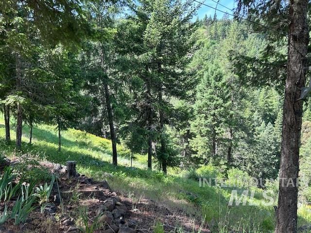 268 Long Bluff, Kooskia, ID 83539