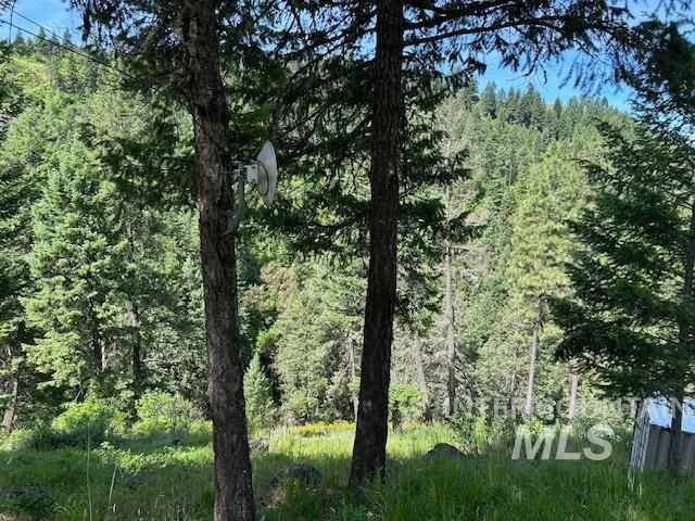 268 Long Bluff, Kooskia, ID 83539