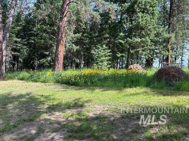 268 Long Bluff, Kooskia, ID 83539