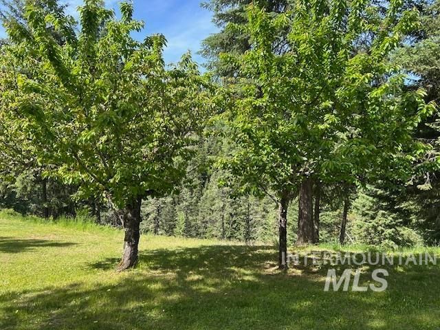 268 Long Bluff, Kooskia, ID 83539
