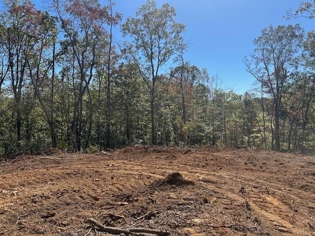 3.71 Yancy Drive, Dawsonville, GA 30534