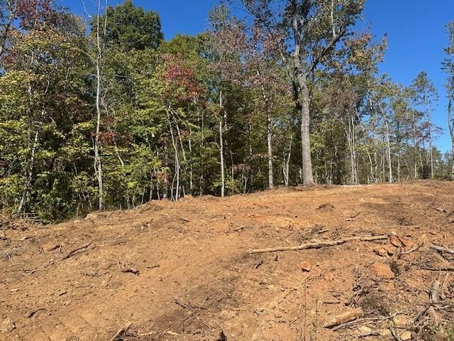 3.71 Yancy Drive, Dawsonville, GA 30534