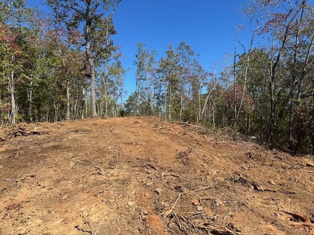 3.71 Yancy Drive, Dawsonville, GA 30534